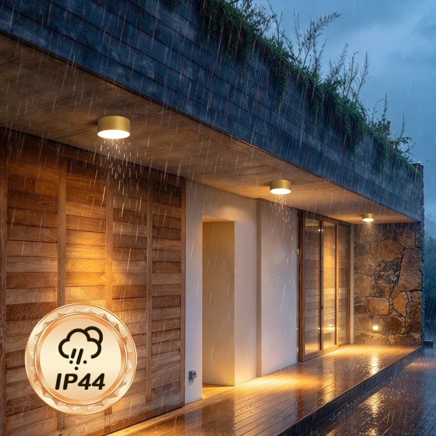 BRILAGI - LED Zewnętrzna oprawa sufitowa FORIS LED/20W/230V śr. 15 cm złota IP44