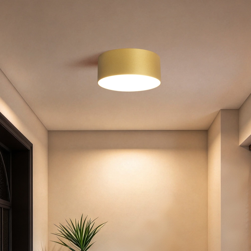 BRILAGI - LED Zewnętrzna oprawa sufitowa FORIS LED/20W/230V śr. 15 cm złota IP44