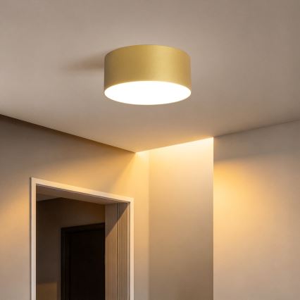 BRILAGI - LED Zewnętrzna oprawa sufitowa FORIS LED/20W/230V śr. 15 cm złota IP44