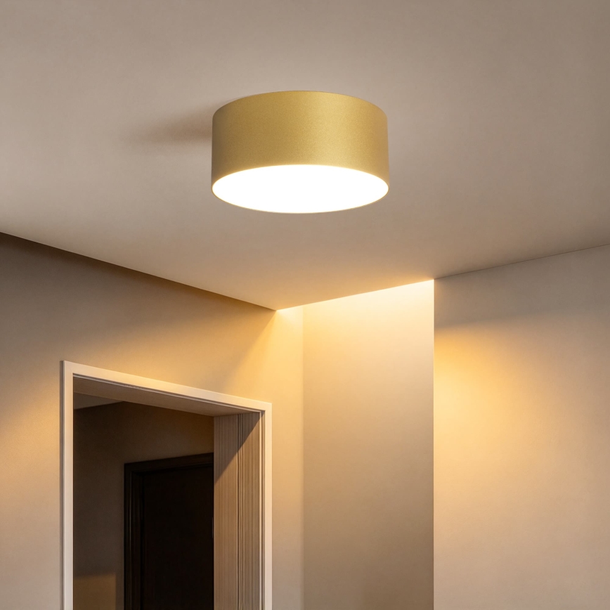 BRILAGI - LED Zewnętrzna oprawa sufitowa FORIS LED/20W/230V śr. 15 cm złota IP44