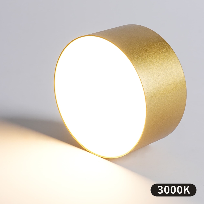 BRILAGI - LED Zewnętrzna oprawa sufitowa FORIS LED/20W/230V śr. 15 cm złota IP44