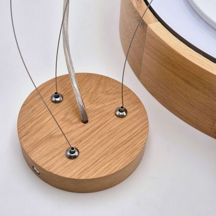Brilagi - LED żyrandol na lince CARVALHO 3xE27/15W/230V dąb śr. 47,5 cm