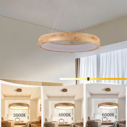Brilagi - Drewniana lampa LED wisząca na lince FALCON WOOD LED/40W/230V 3000/4000/6000K śr. 60 cm