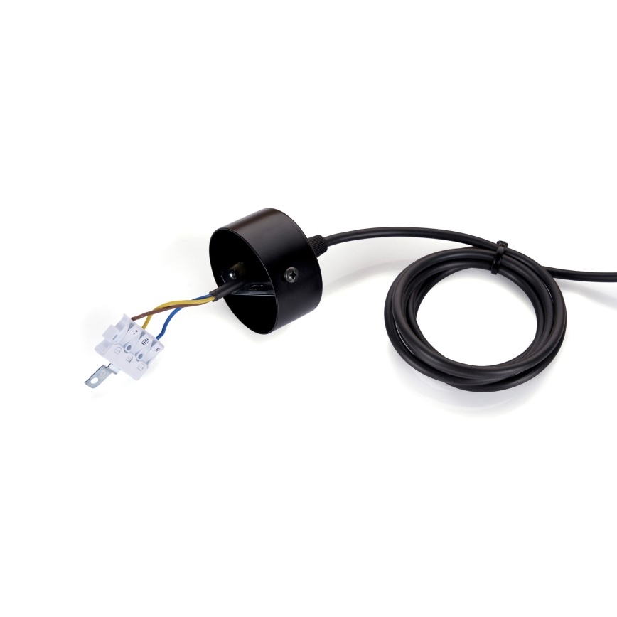 BRILAGI - LED Żyrandol na lince GARDALINE LED/100W/230V dąb