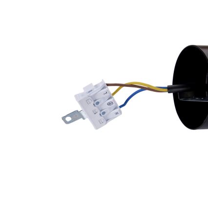 BRILAGI - LED Żyrandol na lince GARDALINE LED/100W/230V dąb