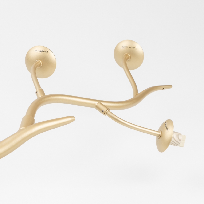 Brilagi - LED Żyrandol na lince MISTEL 6xG9/3W/230V zl.