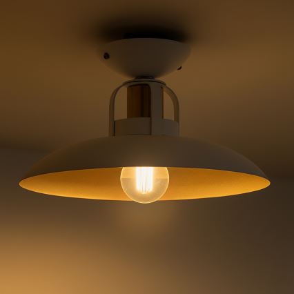 Brilagi - LED Żyrandol natynkowy FLAMENGO 1xE27/60W/230V biały