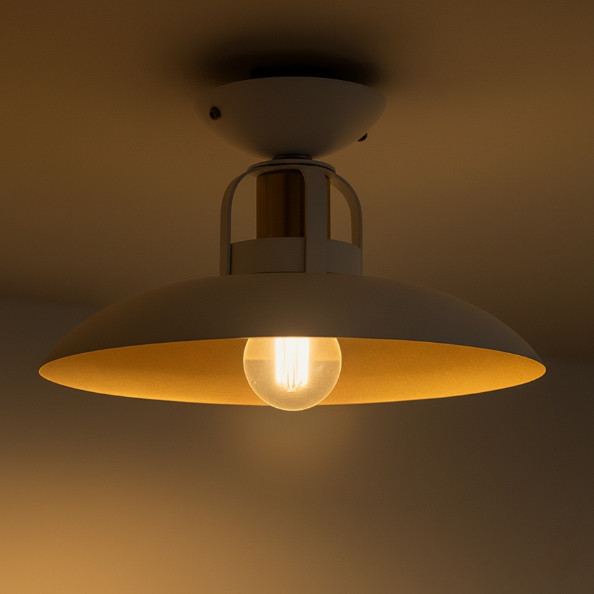 Brilagi - LED Żyrandol natynkowy FLAMENGO 1xE27/60W/230V biały