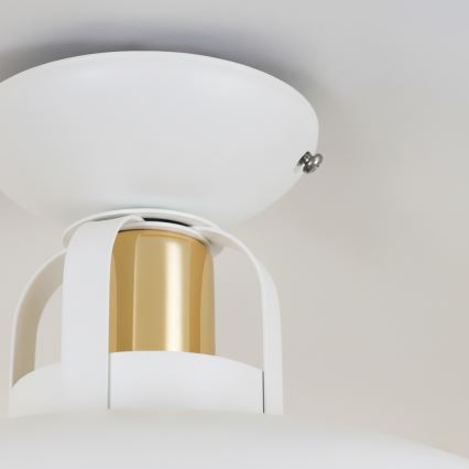 Brilagi - LED Żyrandol natynkowy FLAMENGO 1xE27/60W/230V biały