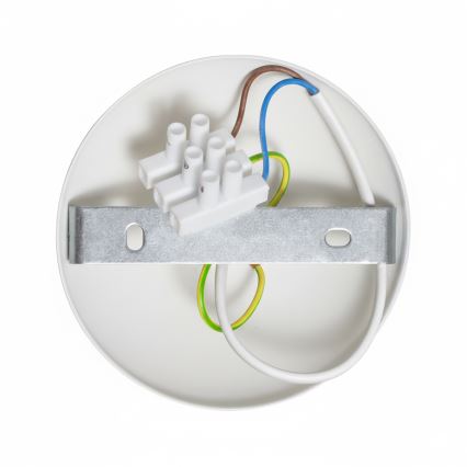 Brilagi - LED Żyrandol natynkowy FLAMENGO 1xE27/60W/230V biały