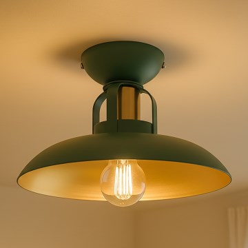 Brilagi - LED Żyrandol natynkowy FLAMENGO 1xE27/60W/230V zielony