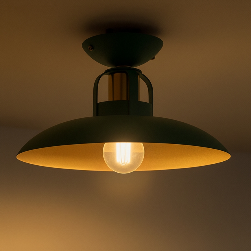 Brilagi - LED Żyrandol natynkowy FLAMENGO 1xE27/60W/230V zielony