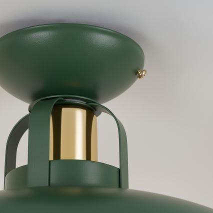 Brilagi - LED Żyrandol natynkowy FLAMENGO 1xE27/60W/230V zielony