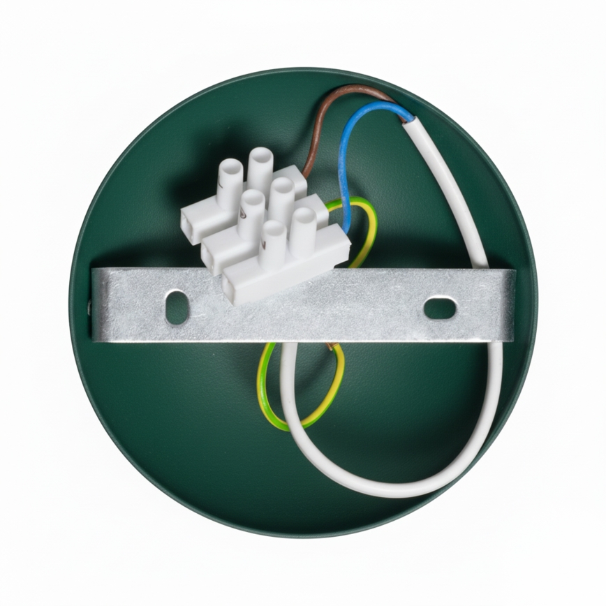 Brilagi - LED Żyrandol natynkowy FLAMENGO 1xE27/60W/230V zielony