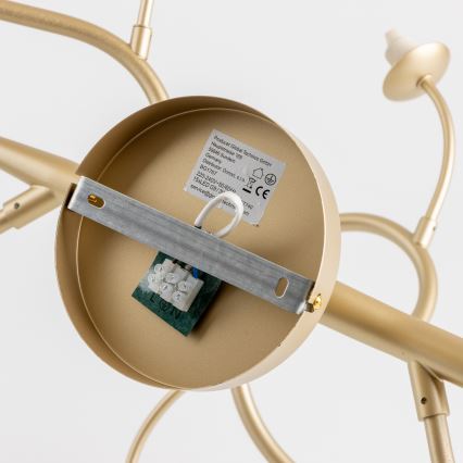 Brilagi - LED Żyrandol natynkowy MISTEL 15xG9/3W/230V złoty/biały