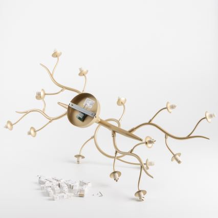 Brilagi - LED Żyrandol natynkowy MISTEL 15xG9/3W/230V złoty/biały