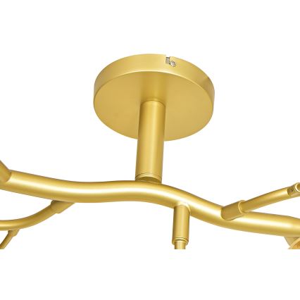 Brilagi - LED Żyrandol natynkowy MISTEL 15xG9/3W/230V zlłoty