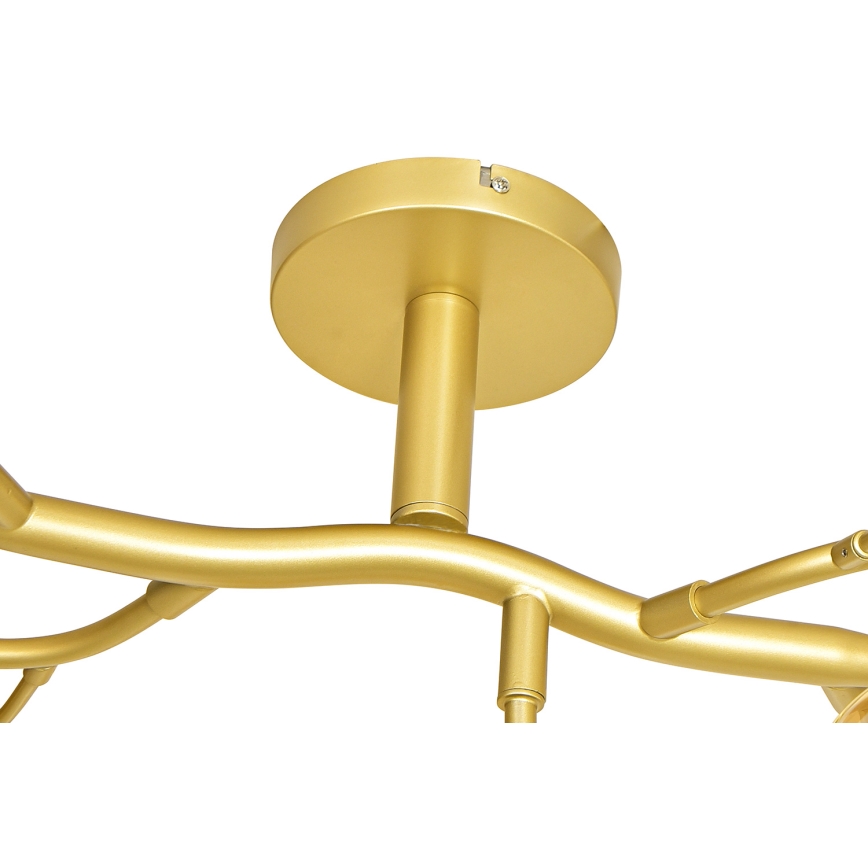 Brilagi - LED Żyrandol natynkowy MISTEL 15xG9/3W/230V zlłoty