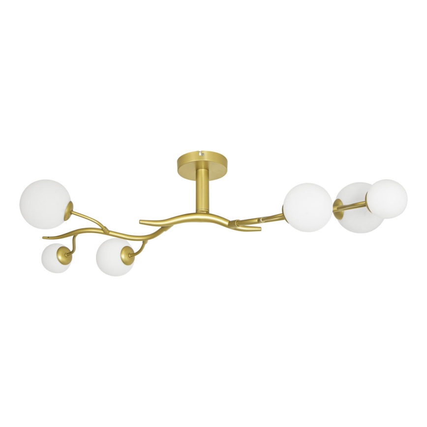 Brilagi - LED Żyrandol natynkowy MISTEL 6xG9/3W/230V zl./biały