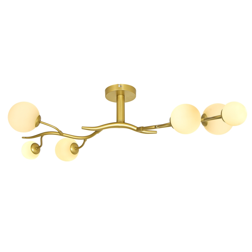 Brilagi - LED Żyrandol natynkowy MISTEL 6xG9/3W/230V zl./biały