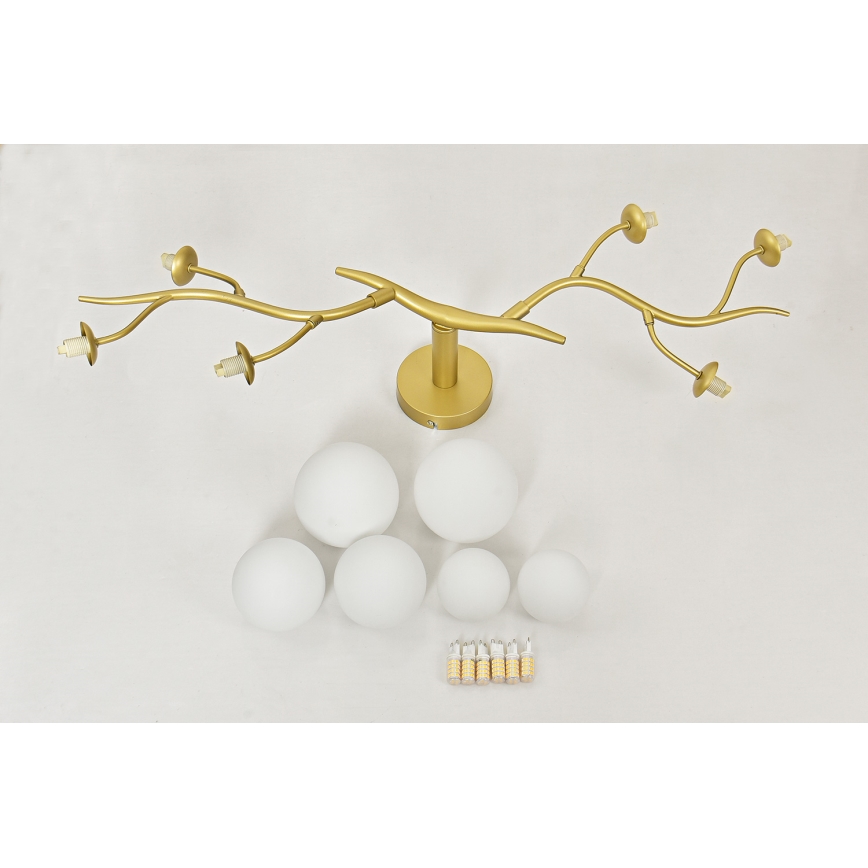 Brilagi - LED Żyrandol natynkowy MISTEL 6xG9/3W/230V zl./biały