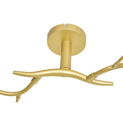 Brilagi - LED Żyrandol natynkowy MISTEL 6xG9/3W/230V zl.