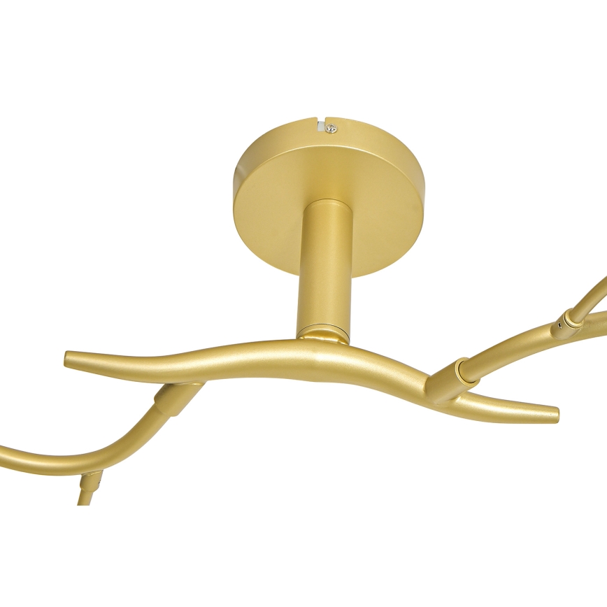 Brilagi - LED Żyrandol natynkowy MISTEL 6xG9/3W/230V zl.