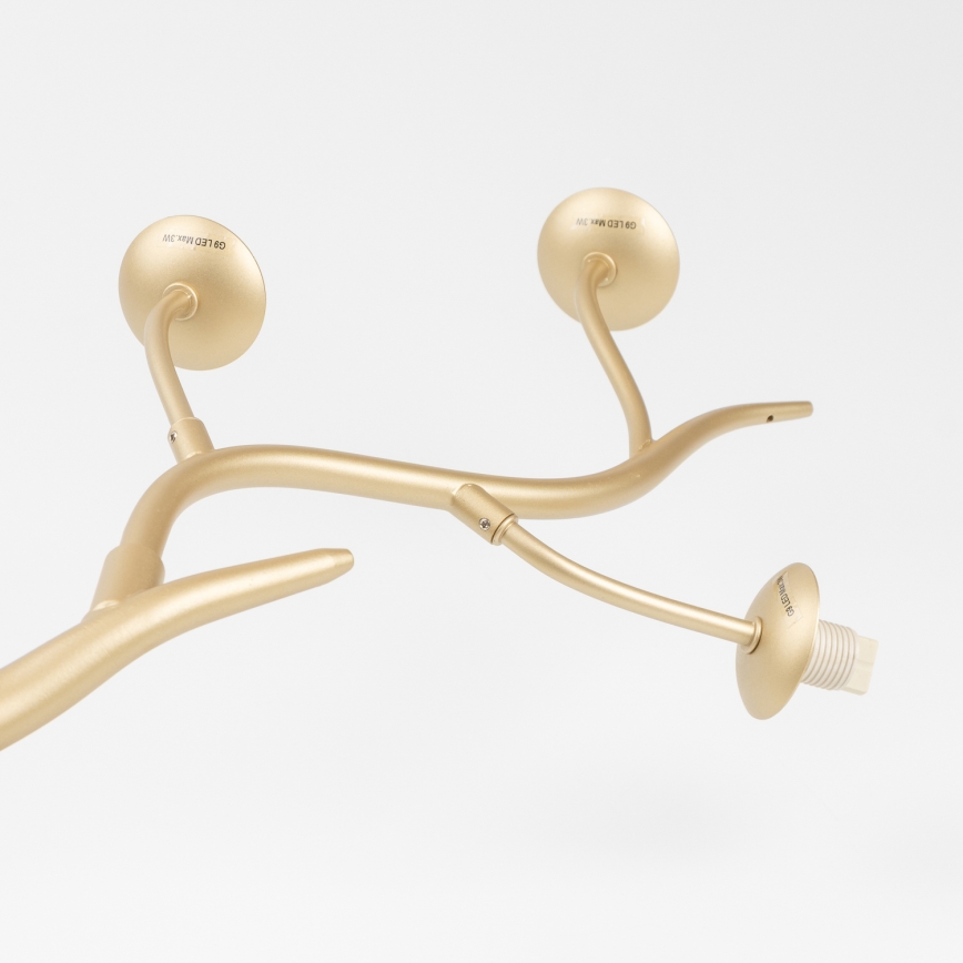 Brilagi - LED Żyrandol natynkowy MISTEL 6xG9/3W/230V zl.