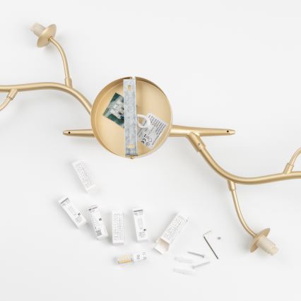 Brilagi - LED Żyrandol natynkowy MISTEL 6xG9/3W/230V zl.