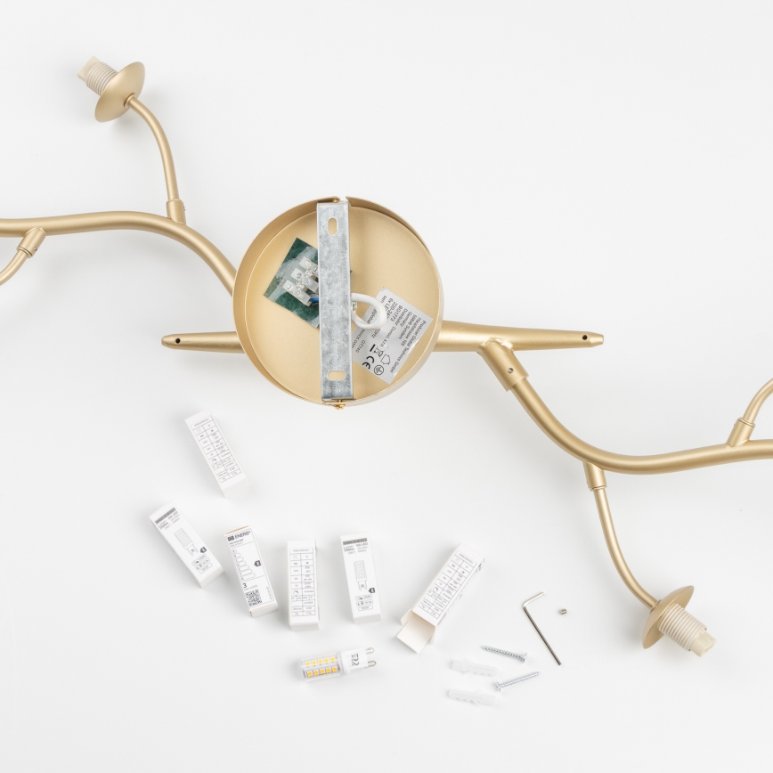 Brilagi - LED Żyrandol natynkowy MISTEL 6xG9/3W/230V zl.