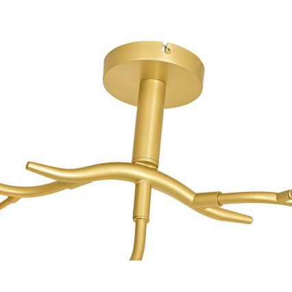 Brilagi - LED Żyrandol natynkowy MISTEL 9xG9/3W/230V złoty/biały