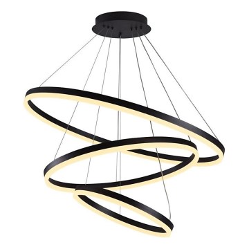 Brilagi - LED Żyrandol ściemnialny na lince CIRCLE LED/125W/230V 3000-6500K czarny + zdalne sterowanie