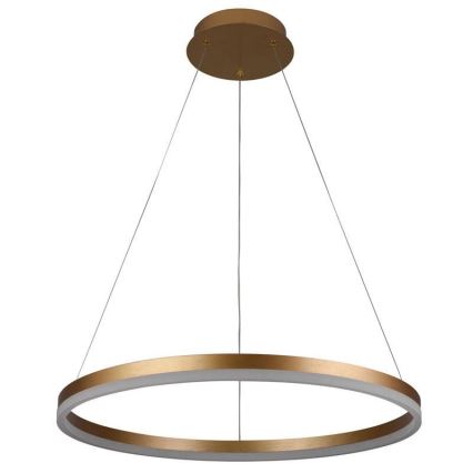 Brilagi - LED Żyrandol ściemnialny na lince CIRCLE LED/42W/230V 3000-6500K + pilot zdalnego sterowania