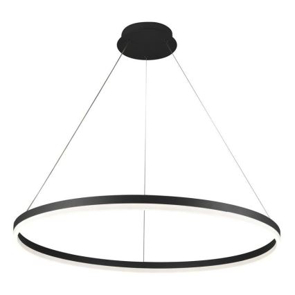 Brilagi - LED Żyrandol ściemnialny na lince CIRCLE LED/55W/230V 3000-6500K czarny + zdalne sterowanie