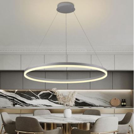 Brilagi - LED Żyrandol ściemnialny na lince CIRCLE LED/55W/230V 3000-6500K srebrny + zdalne sterowanie