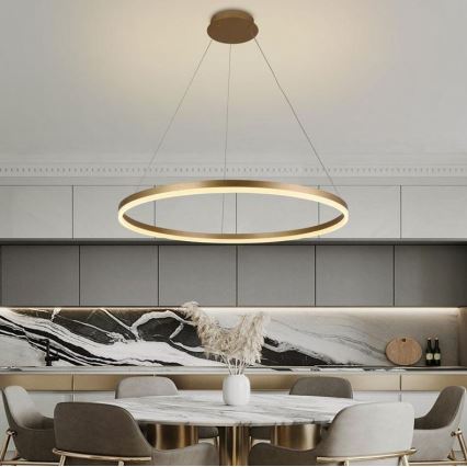 Brilagi - LED Żyrandol ściemnialny na lince CIRCLE LED/55W/230V 3000-6500K złoty + zdalne sterowanie