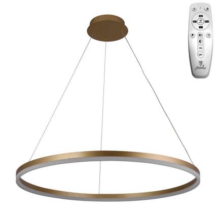 Brilagi - LED Żyrandol ściemnialny na lince CIRCLE LED/55W/230V 3000-6500K złoty + zdalne sterowanie