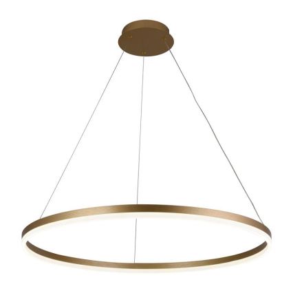 Brilagi - LED Żyrandol ściemnialny na lince CIRCLE LED/55W/230V 3000-6500K złoty + zdalne sterowanie