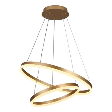 Brilagi - LED Żyrandol ściemnialny na lince CIRCLE LED/70W/230V 3000-6500K złoty + zdalne sterowanie