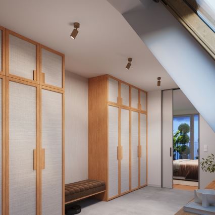 Brilagi - Oprawa punktowa CRESTO 1xGU10/10W/230V brązowa