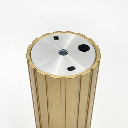 Brilagi - Oprawa punktowa CRISPINA 1xGU10/10W/230V 10 cm złota