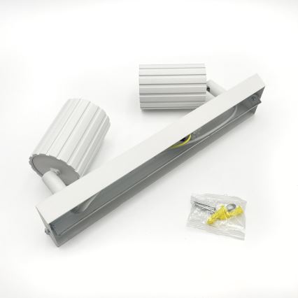 Brilagi - Oprawa punktowa CRISPINA 2xGU10/10W/230V biała