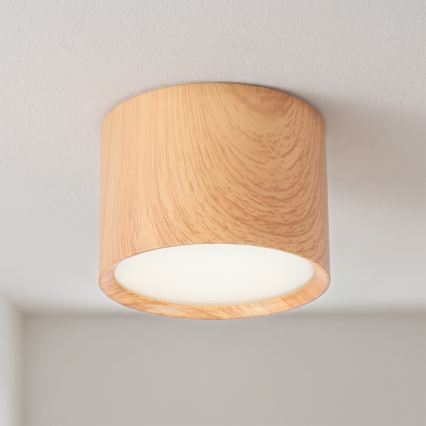 BRILAGI - Oprawa punktowa do łazienki SMOOTH 1xGX53/15W/230V 60x82 mm w dekorze dębu IP54