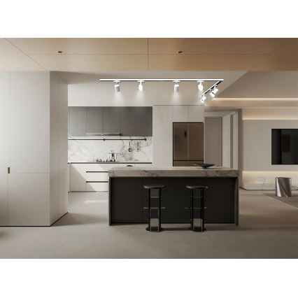 Brilagi - Oprawa punktowa do systemu szynowego HUSKY 8xGU10/10W/230V biała