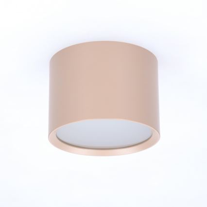 BRILAGI - Oprawa punktowa łazienkowa SMOOTH 1xGX53/15W/230V 60x82 mm beżowa IP54