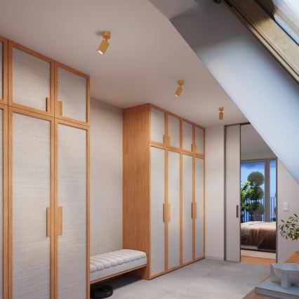 Brilagi - Oprawa punktowa LED CRESTO 1xGU10/10W/230V złota