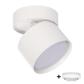 BRILAGI - oprawa punktowa LED SMOOTH TILTY 1xGX53/15W/230V biała