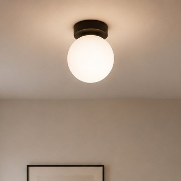 Brilagi - Oprawa punktowa MILO 1xE27/60W/230V czarna