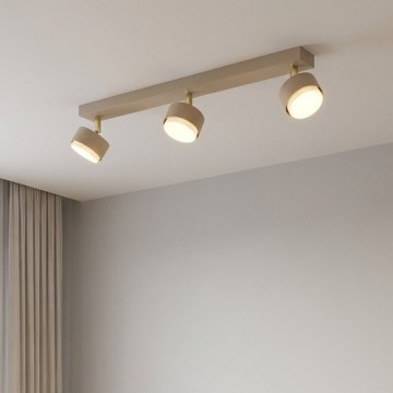 Brilagi - Oprawa punktowa MONO 3xGX53/12W/230V beżowa