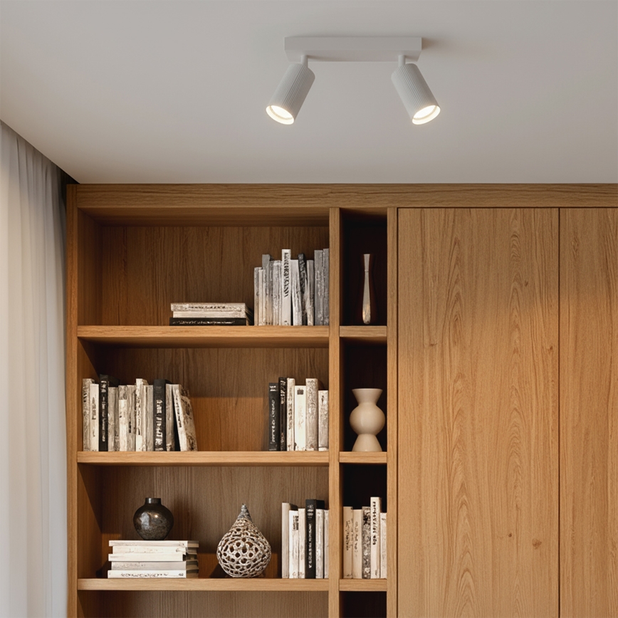 Brilagi - Oprawa punktowa SELE MODERN 2xGU10/30W/230V biała